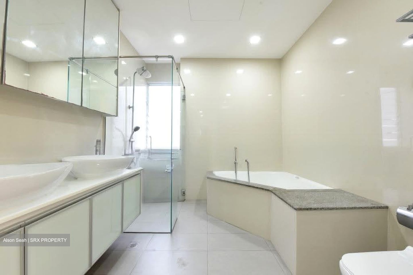 Regency Park (D10), Condominium #622266611